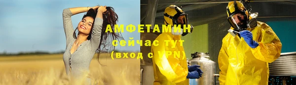 индика Покров