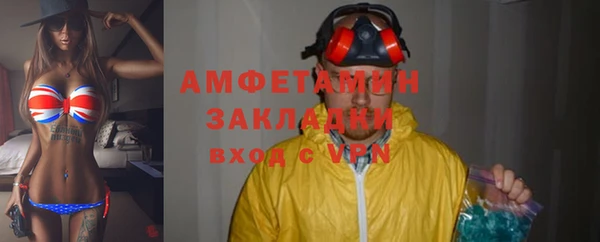 индика Алзамай