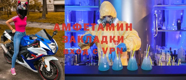 индика Алзамай
