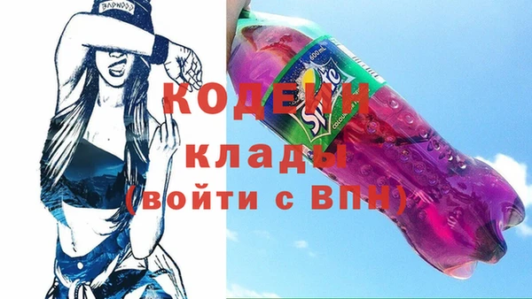 индика Алзамай